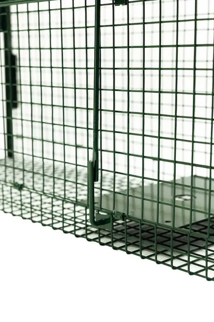 9I4A4482squashed.webp