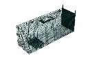 9I4A4633squashed.webp