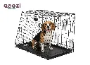 DSC01996_hond.webp