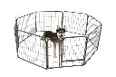 chatgptimage16okt2025,12_11_42squashed.webp