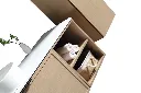 xgf_9066squashed.webp