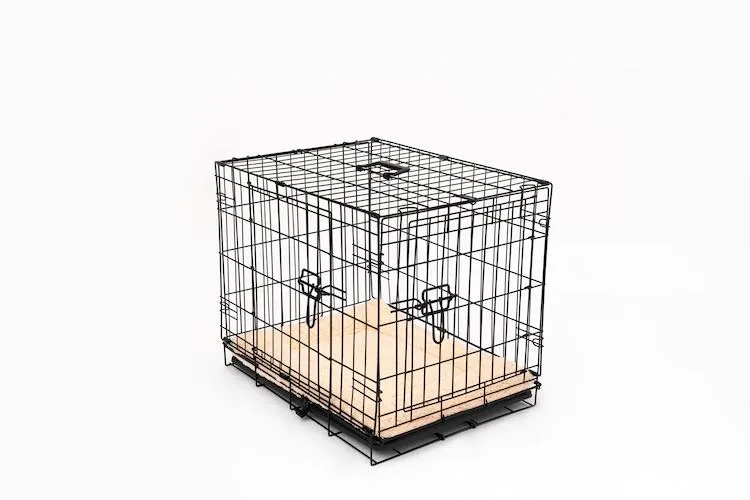 Qoozi Pet Hondenbench – Inklapbaar – Met Kussentje – Zwart (V) (XS)