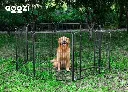 Qoozi Pet Hondenren – 8 Panelen – Opvouwbaar & Uitbreidbaar (V)