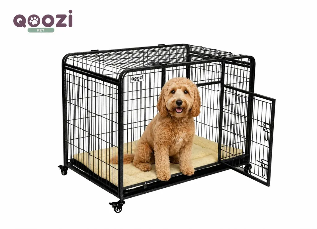 Qoozi Pet Hondenbench op Wielen – Verrijdbaar, Stevig & Comfortabel